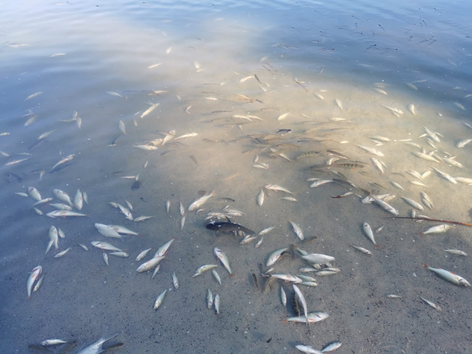 Sauerstoffmangel 2023